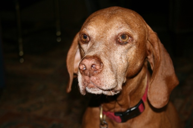 Addie