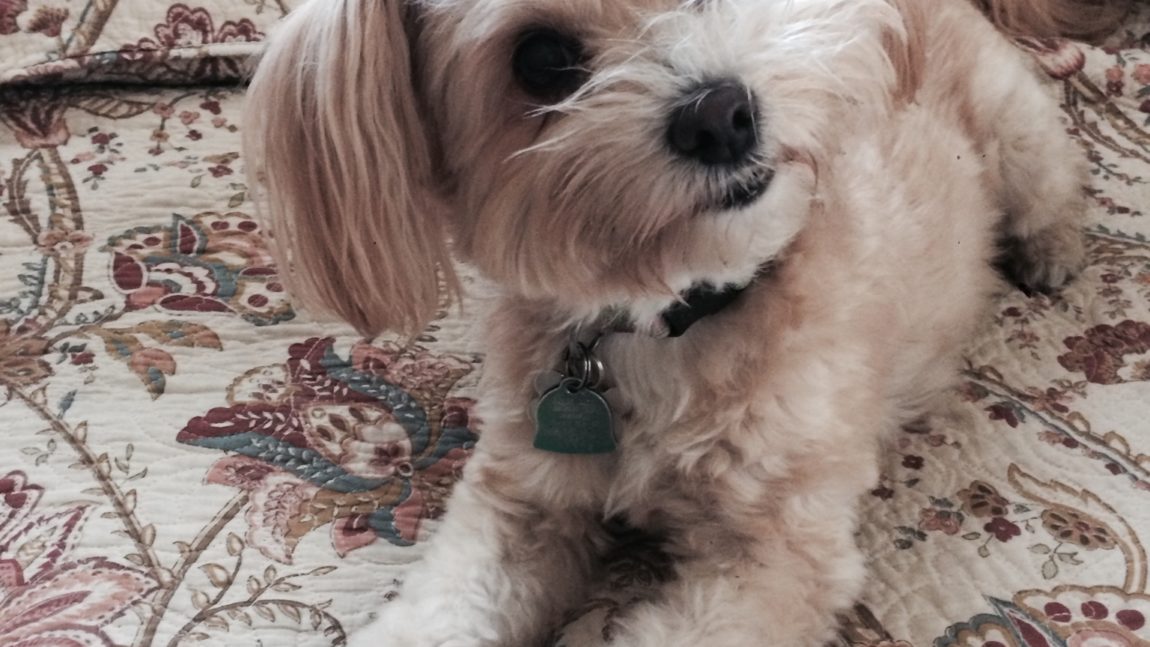 Coco